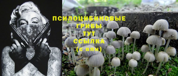 гашиш Алексин