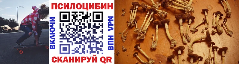 наркота  Железногорск-Илимский  Псилоцибиновые грибы Magic Shrooms 