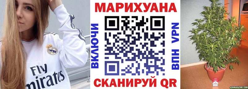 где купить наркоту  Железногорск-Илимский  MEGA зеркало  Марихуана планчик 